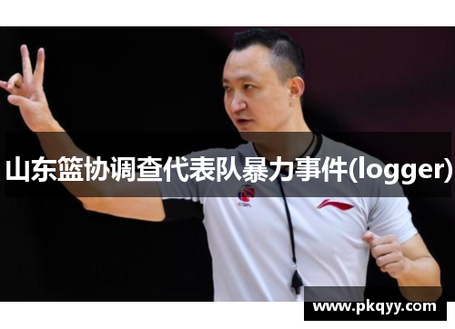 山东篮协调查代表队暴力事件(logger)