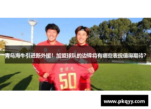 青岛海牛引进新外援！加盟球队的边锋将有哪些表现值得期待？